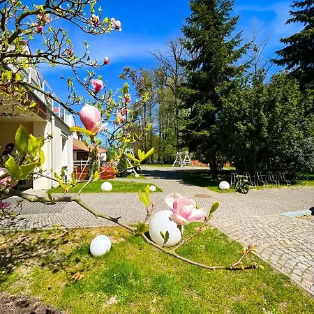 Szafirowy Dwor & Restauracja Hotel Gliwice