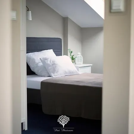 Hotel Szafirowy Dwor & Restauracja