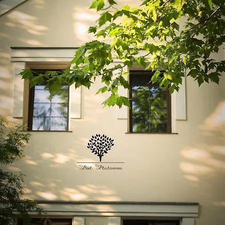 Szafirowy Dwor & Restauracja