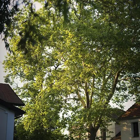 Szafirowy Dwor & Restauracja * Гливице