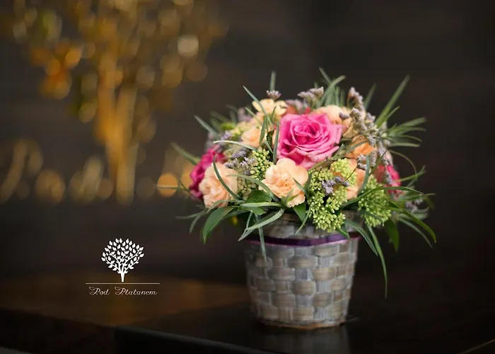 Hotel Szafirowy Dwor & Restauracja Gliwice