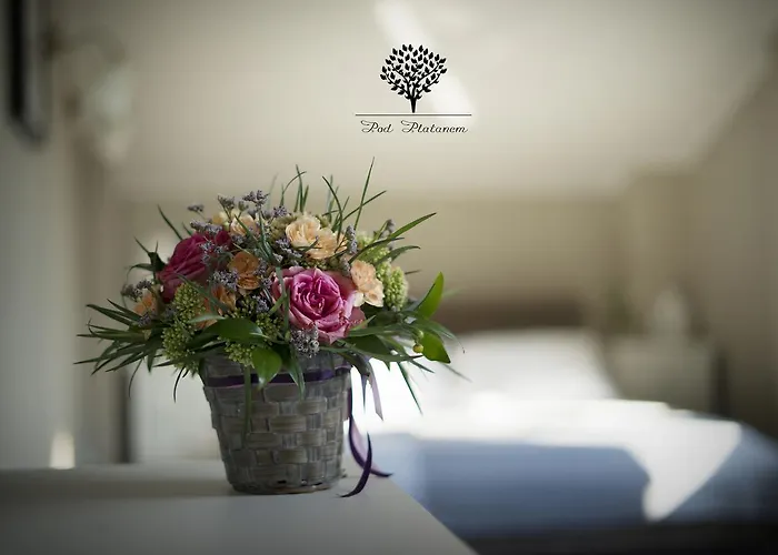 Szafirowy Dwor & Restauracja Gliwice